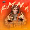 R.M.N.A. - Single album lyrics, reviews, download