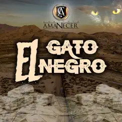 El Gato Negro - Single by Conjunto Amanecer album reviews, ratings, credits