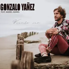Viento Sur (feat. Mariel Mariel) - Single by Gonzalo Yañez album reviews, ratings, credits