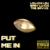 Put Me In (feat. Baby Luchi) - Single album lyrics, reviews, download