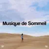 !!!" Musique De Sommeil "!!! album lyrics, reviews, download