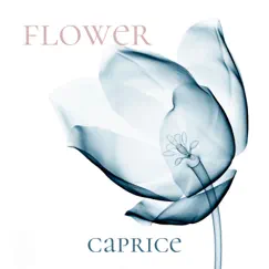 Flower - Single by Caprice album reviews, ratings, credits