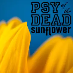 Sunflower Song Lyrics