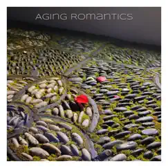 Aging Romantics - EP by We Boil the Sea album reviews, ratings, credits