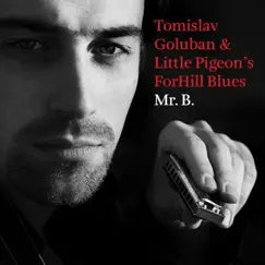 Mr. B. by TOMISLAV GOLUBAN & Little Pigeon's ForHill Blues album reviews, ratings, credits