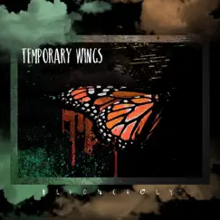 Temporary Wings - EP by Devoncholy album reviews, ratings, credits