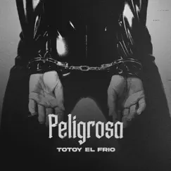 Peligrosa - Single by Totoy El Frio album reviews, ratings, credits