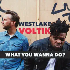What You Wanna Do? (feat. Johnny Voltik & David S Westlake) Song Lyrics