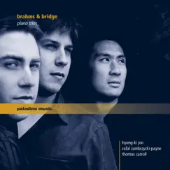 Trio for Piano, Violin and Violoncello No. 1 in B Major, Op. 8 (1889 Version): III. Adagio Song Lyrics