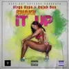 Shake It Up - Single album lyrics, reviews, download