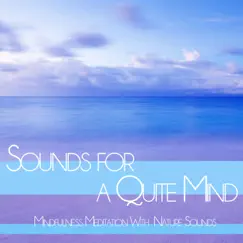 Sounds for a Quite Mind: Mindfulness Meditation With Nature Sounds by Meditation Music Academy, Meditation Area & Spa Music Relaxation album reviews, ratings, credits