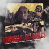 VIVÊNCIA DE BAILES (feat. MC Modelo, MC Kesia, MC Kalyu, Mc Jota 011, DJ GORDINHO DA VF) - Single album lyrics, reviews, download