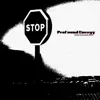 Profound Energy - Instrumental 2022 (feat. Камиль Скрипка & Тимур Басов) song lyrics
