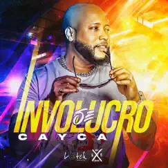 Se Involucro - Single by CAyCa album reviews, ratings, credits