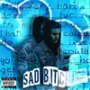 Sad Bitch - Single album lyrics, reviews, download