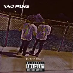 Yao Ming (feat. Young Spazza) Song Lyrics