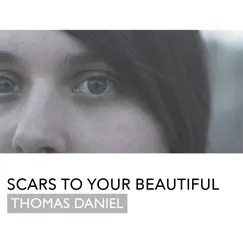 Scars To Your Beautiful Song Lyrics