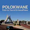 Polokwane (feat. Felo Le Tee & DJ AmaPiano) - Single album lyrics, reviews, download