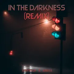 In the Darkness (Remix) Song Lyrics