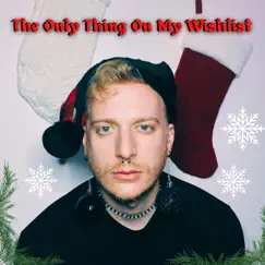 The Only Thing On My Wishlist Song Lyrics