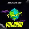 Volando - Single album lyrics, reviews, download