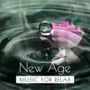 New Age Music for Relax: Soothing Sounds of Nature for Positive Energy, Find Balance and Stress Relief album lyrics, reviews, download