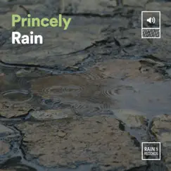 Princely Rain by Rainfall, Thunder Storms & Rain Sounds & Yoga Rain album reviews, ratings, credits