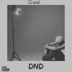 DND - Single by Swipah album reviews, ratings, credits