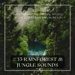 #35 Rainforest & Jungle Sounds - Most Relaxing Tribal Music with Constant Drum Beat by Tribal Music & Drums World Collective album reviews, ratings, credits