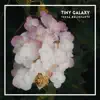 Tiny Galaxy - EP album lyrics, reviews, download