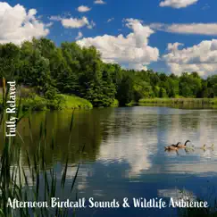 Afternoon Birdcall Sounds & Wildlife Ambience, Pt. 6 Song Lyrics