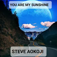 YOU ARE MY SUNSHINE - Single by Steve Aokoji album reviews, ratings, credits