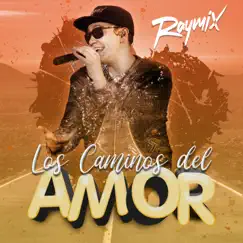 Los Caminos Del Amor Song Lyrics