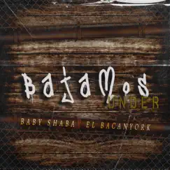Bajamos Under Song Lyrics