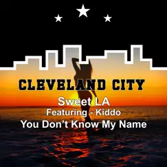 You Don't Know My Name (feat. Kiddo) Song Lyrics