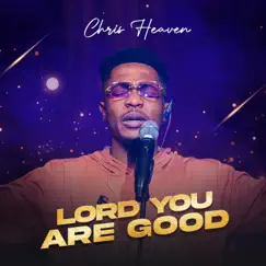 Lord You Are Good - Single by Chris Heaven album reviews, ratings, credits