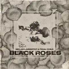 Black Roses - Single by Final Child & Niklas Ljungfelt album reviews, ratings, credits