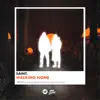 Walking Home - Single album lyrics, reviews, download