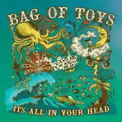 It's All in Your Head by Bag of Toys album reviews, ratings, credits