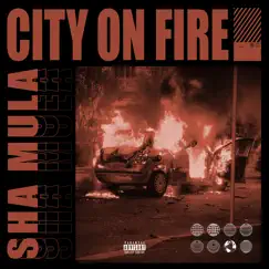 City on Fire by Sha Mula album reviews, ratings, credits