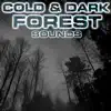Cold & Dark Forest Sounds (feat. Nature Sounds Explorer, OurPlanet Soundscapes, Paramount Nature Soundscapes, Paramount White Noise Soundscapes, Strong Wind Sounds & White Noise Plus) album lyrics, reviews, download