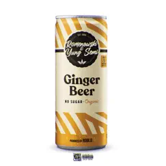 Ginger Beer (feat. Yung Semi) - Single by Romenowski album reviews, ratings, credits