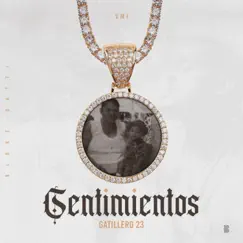 Sentimientos - Single by Gatillero 23 album reviews, ratings, credits