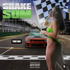 Shake Sum Song Lyrics