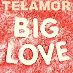 Big Love - Single by Telamor album reviews, ratings, credits