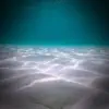 Underwater Sound will Help with Stress Relief and Relaxation - Single album lyrics, reviews, download