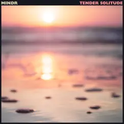 Tender Solitude Song Lyrics