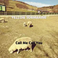 Yellow Submarine - Single by Call Me Call You album reviews, ratings, credits