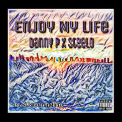 Enjoy My Life - Single by Danny P & Steelo album reviews, ratings, credits
