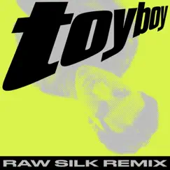 Toy Boy (RAW SILK Remix) Song Lyrics